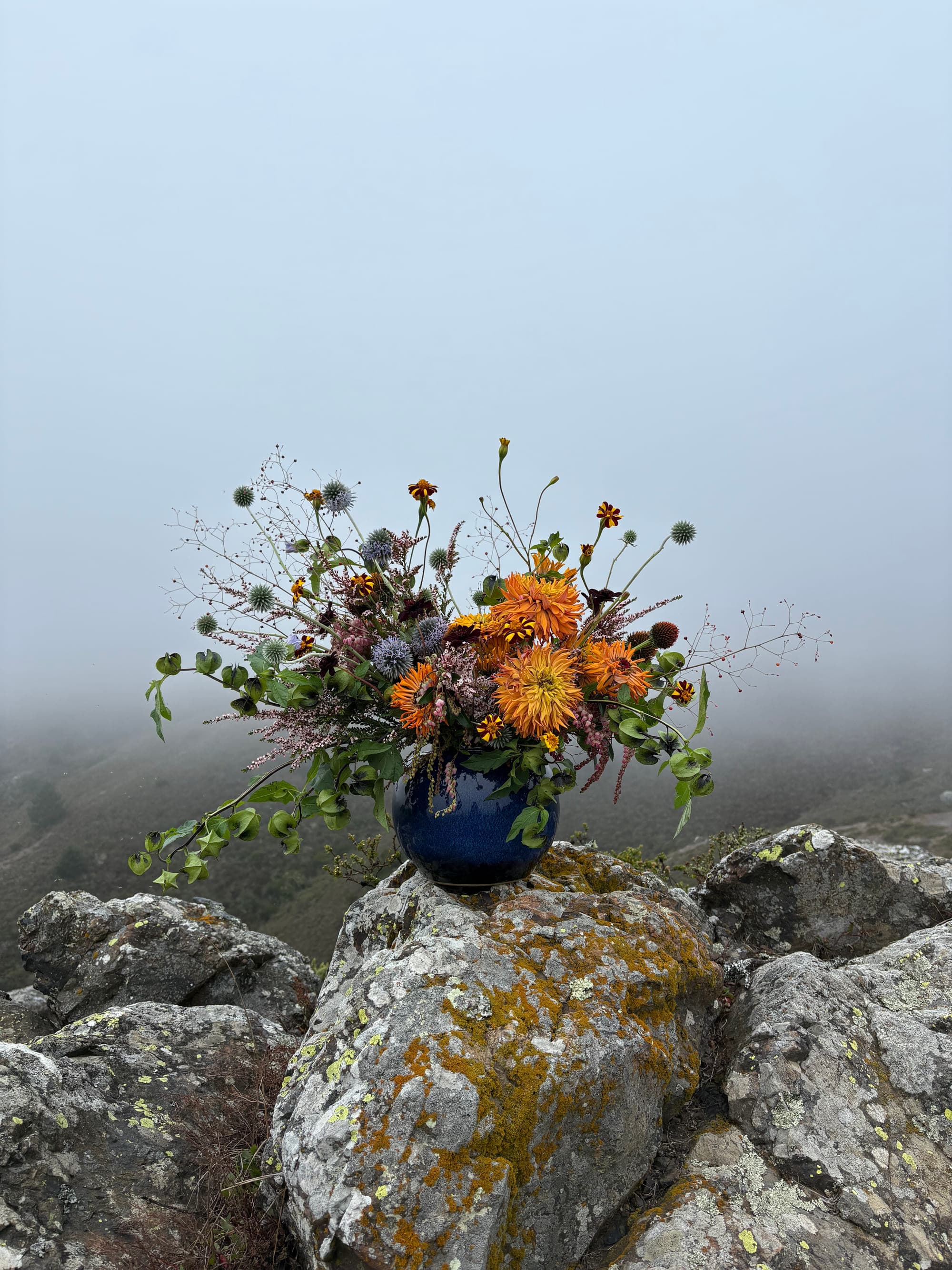 Orange dahlias, globe thistle and bells of Ireland in a cobalt vase on a fog-covered ridge